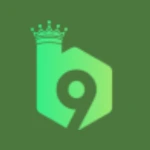 B9 Game Official Logo Pakistan