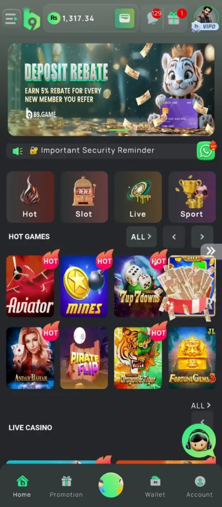 B9 Game app Review home screen showing balance, hot games, and promotions in Pakistan.