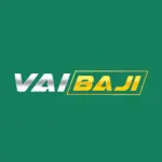 Official Vaibaji Game logo 2025 for Pakistan earning app