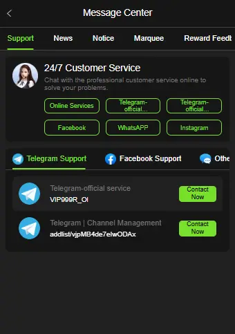 999R Game official customer support options for online help