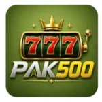 PAK500 Game logo